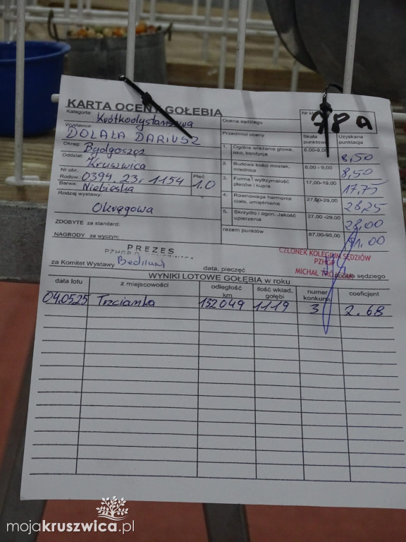 56. Wystawa Gołębi Pocztowych Okręgu Bydgoszcz w Kruszwicy [ZDJĘCIA]