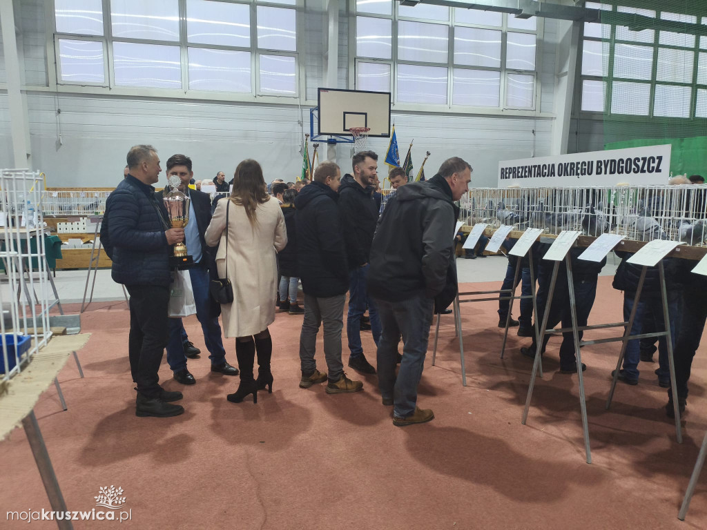 56. Wystawa Gołębi Pocztowych Okręgu Bydgoszcz w Kruszwicy [ZDJĘCIA]