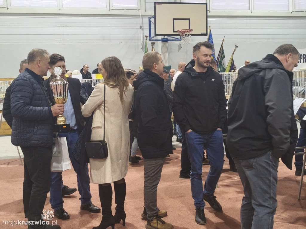 56. Wystawa Gołębi Pocztowych Okręgu Bydgoszcz w Kruszwicy [ZDJĘCIA]