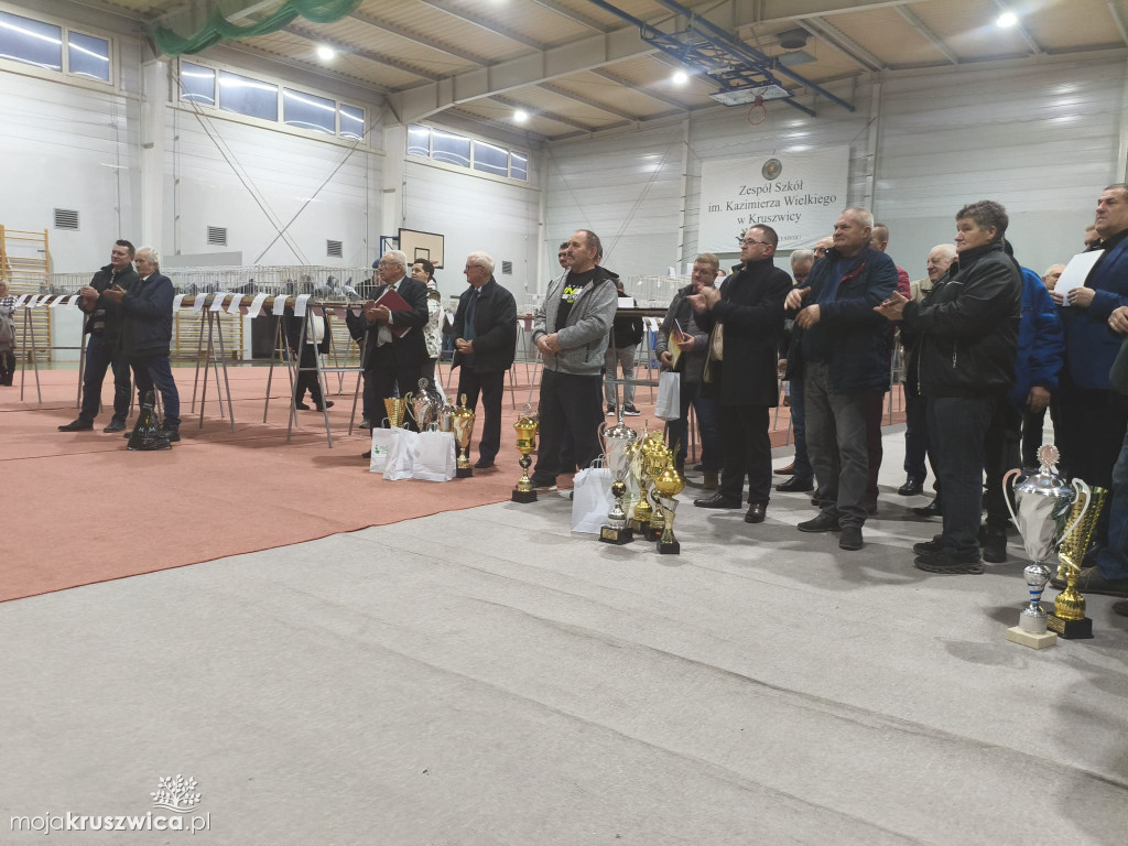 56. Wystawa Gołębi Pocztowych Okręgu Bydgoszcz w Kruszwicy [ZDJĘCIA]