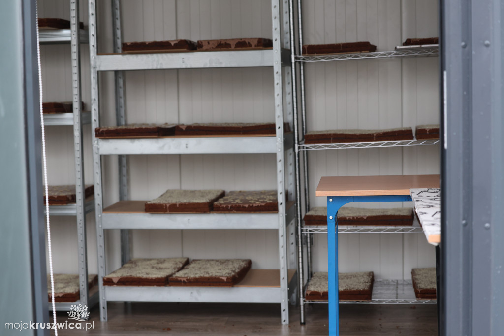 Inowrocławski AS bije rekord Polski na największą mozaikę z piernika