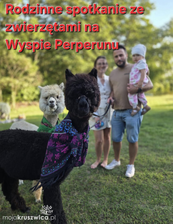 „Festiwal Dobrych Serc”. W sobotę będziemy nieść pomoc dla poszkodowanych