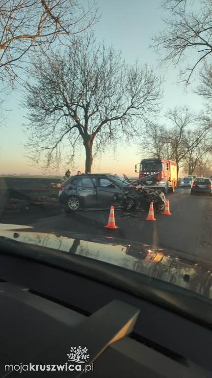 Kolejny wypadek pod Kruszwicą: Samochód uderzył w drzewo