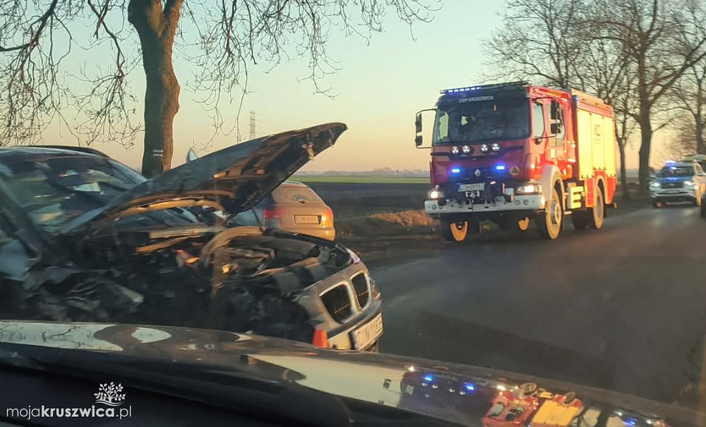 Kolejny wypadek pod Kruszwicą: Samochód uderzył w drzewo