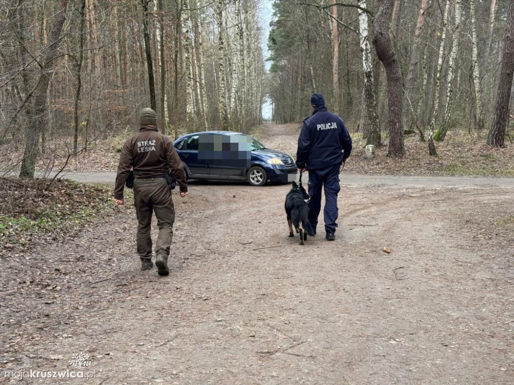 Kontrole legalności wycinki i posiadania choinek