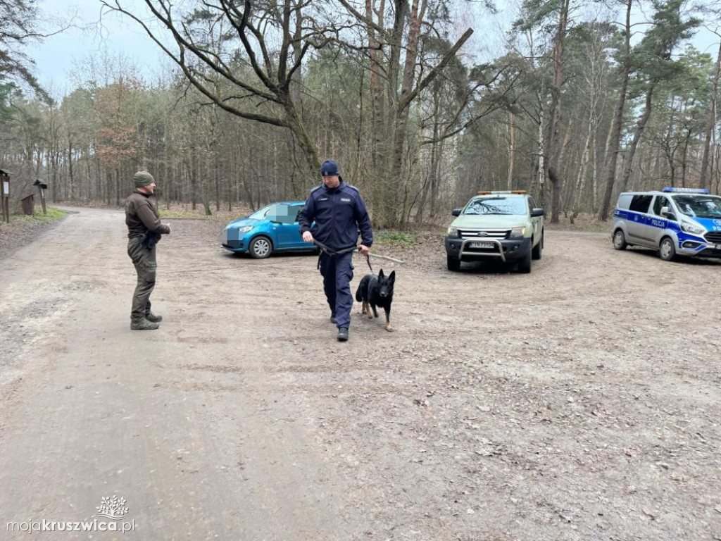 Kontrole legalności wycinki i posiadania choinek