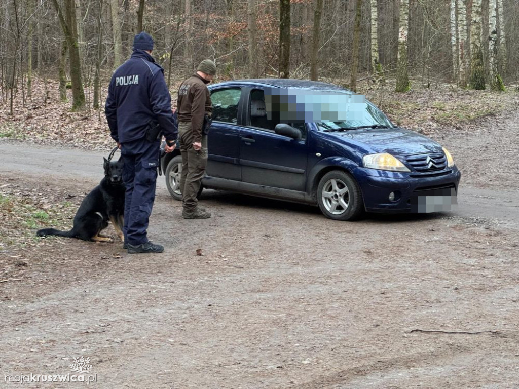 Kontrole legalności wycinki i posiadania choinek