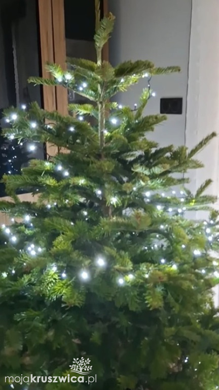 Za nami konkurs na „Najpiękniejszą choinkę w Kruszwicy”!