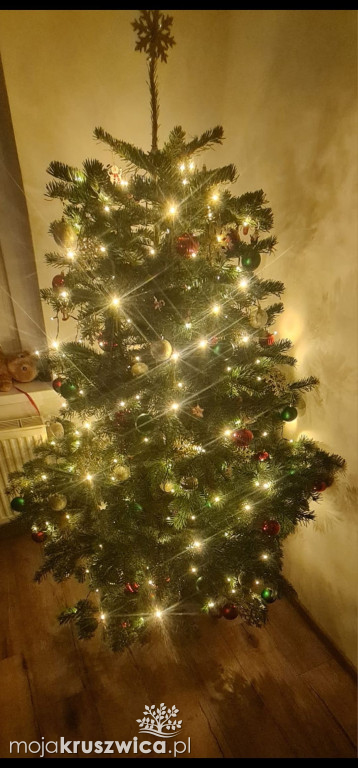 Za nami konkurs na „Najpiękniejszą choinkę w Kruszwicy”!