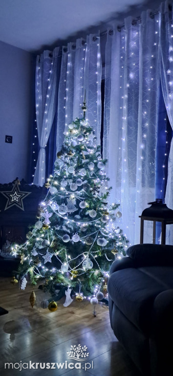 Za nami konkurs na „Najpiękniejszą choinkę w Kruszwicy”!
