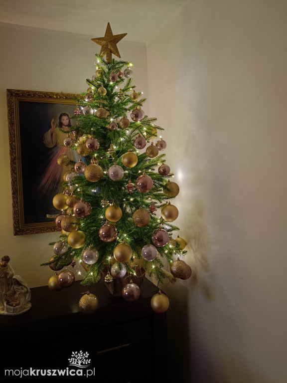 Za nami konkurs na „Najpiękniejszą choinkę w Kruszwicy”!