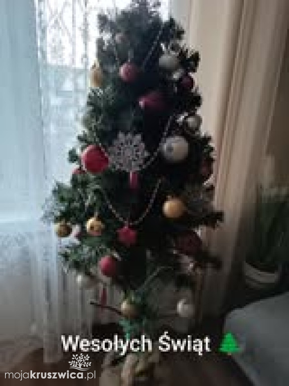 Za nami konkurs na „Najpiękniejszą choinkę w Kruszwicy”!