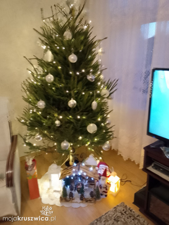 Za nami konkurs na „Najpiękniejszą choinkę w Kruszwicy”!