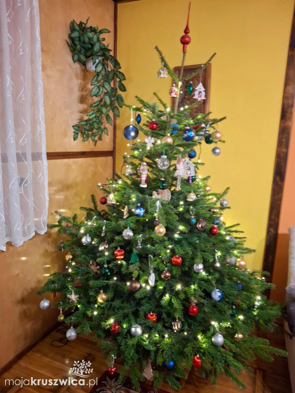 Za nami konkurs na „Najpiękniejszą choinkę w Kruszwicy”!