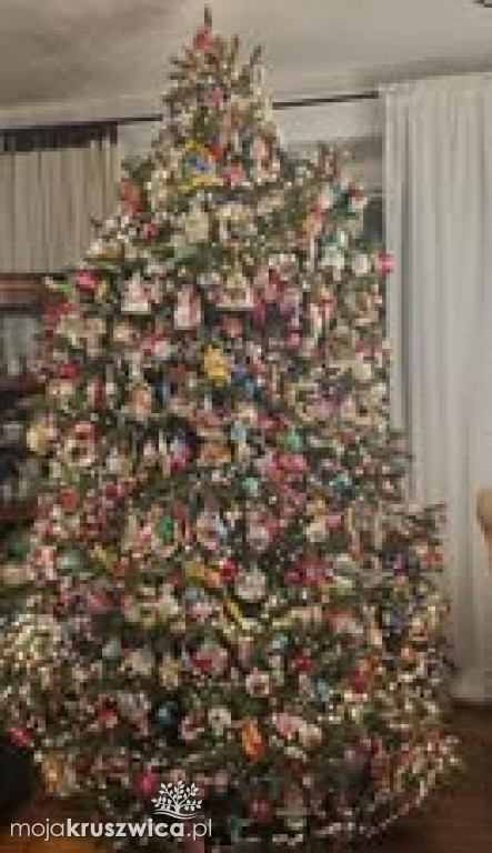 Za nami konkurs na „Najpiękniejszą choinkę w Kruszwicy”!