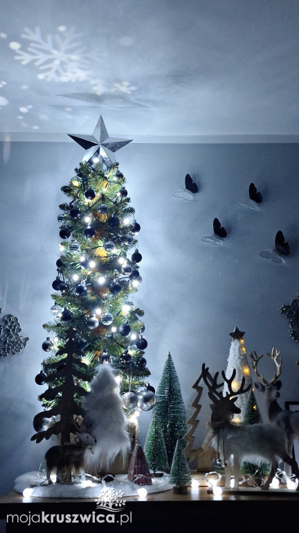 Za nami konkurs na „Najpiękniejszą choinkę w Kruszwicy”!