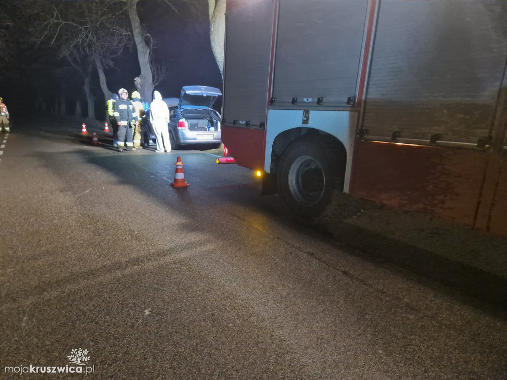 Samochód uderzył w drzewo w Zofijówce. Interweniowały służby