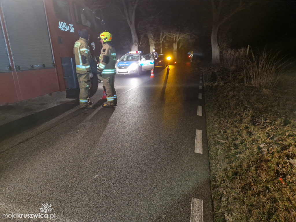 Samochód uderzył w drzewo w Zofijówce. Interweniowały służby