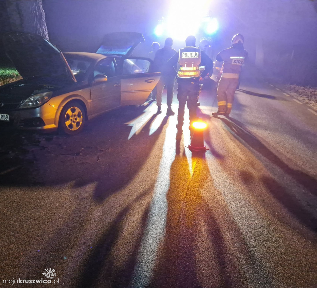 Samochód uderzył w drzewo w Zofijówce. Interweniowały służby