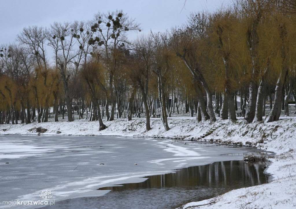 Zima w Kruszwicy nad Gopłem w obiektywie Żanety Kowalskiej
