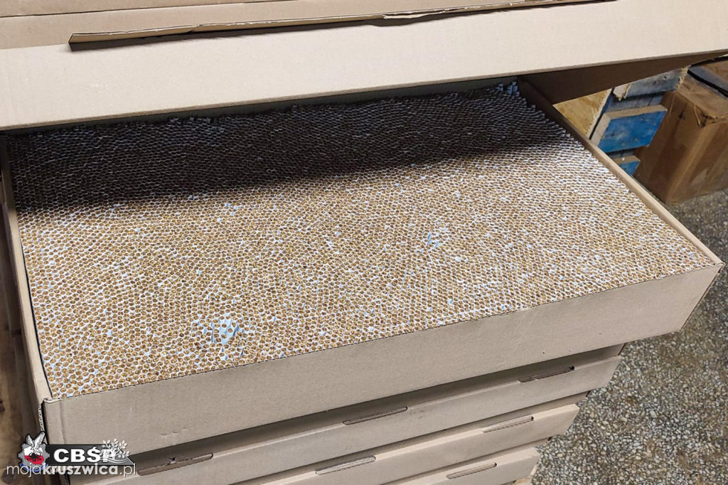 REGION: Wielka akcja CBŚP i KAS. 9 osób zatrzymanych