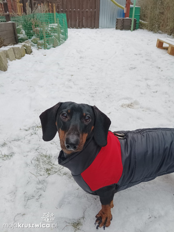 Na naszym głównym fanpage \