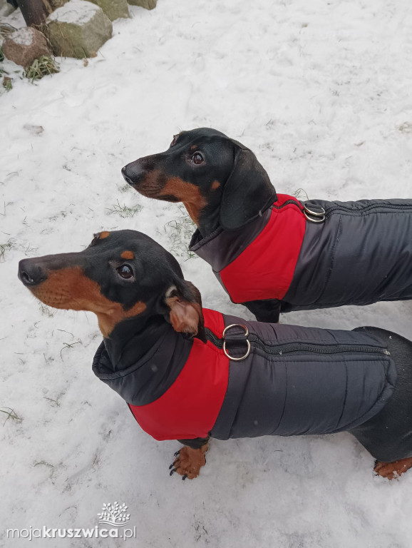 Na naszym głównym fanpage \