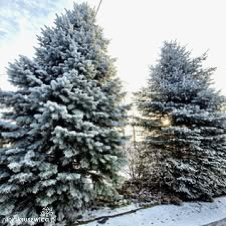 Na naszym głównym fanpage \