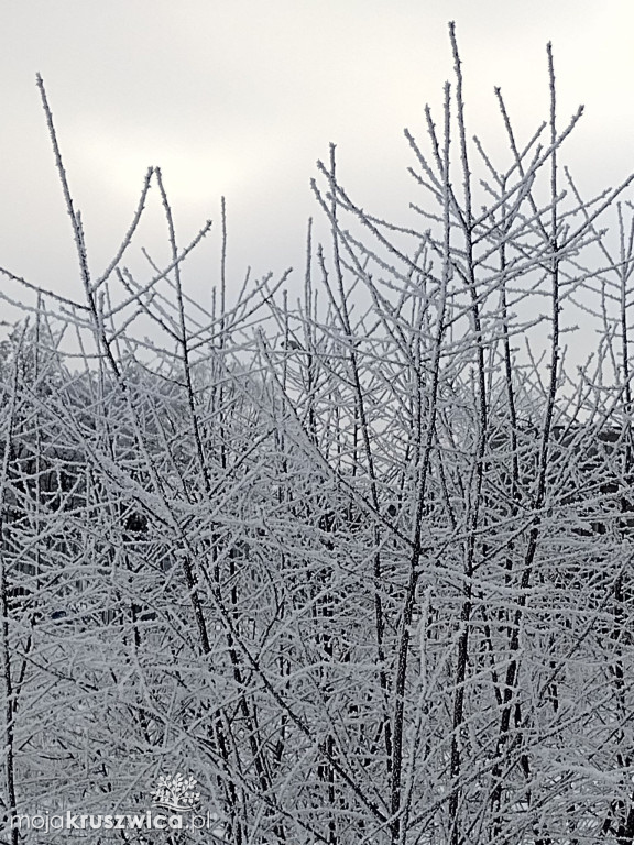 Na naszym głównym fanpage \