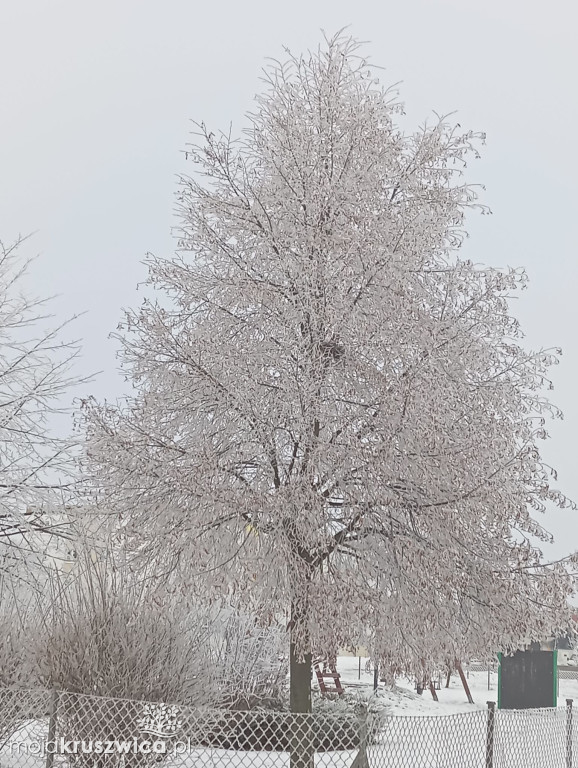 Na naszym głównym fanpage \