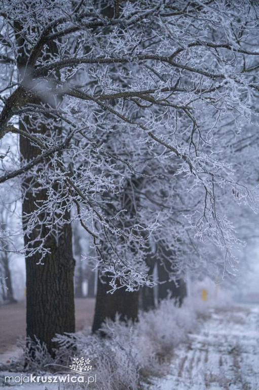 Na naszym głównym fanpage \