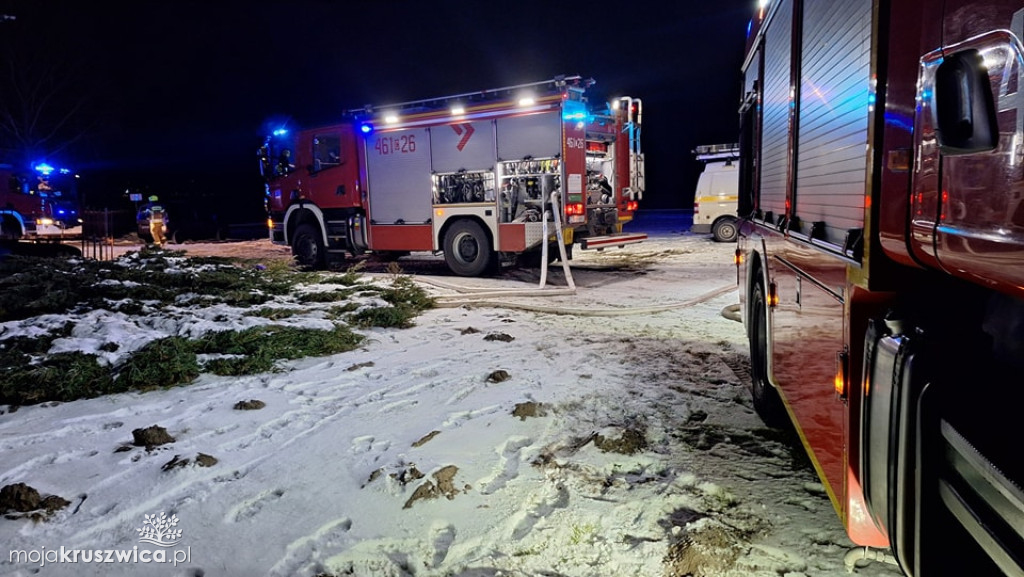 Pożar domku letniskowego przy ul. Żeglarskiej w Kruszwicy