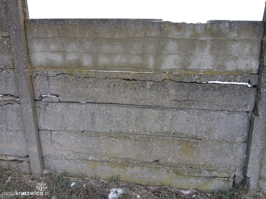 Radny złożył interpelację w sprawie ogrodzenia przy drodze krajowej w Kobylnikach