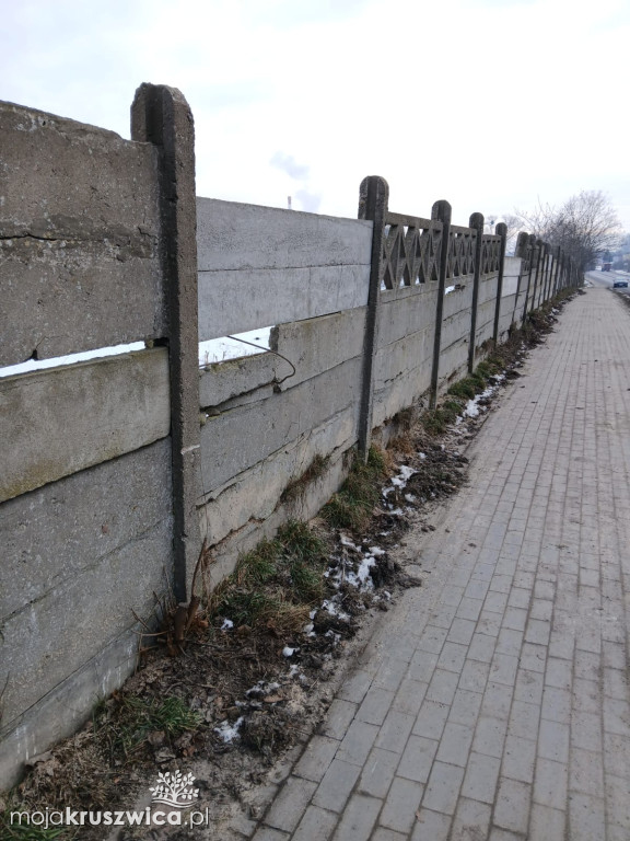 Radny złożył interpelację w sprawie ogrodzenia przy drodze krajowej w Kobylnikach