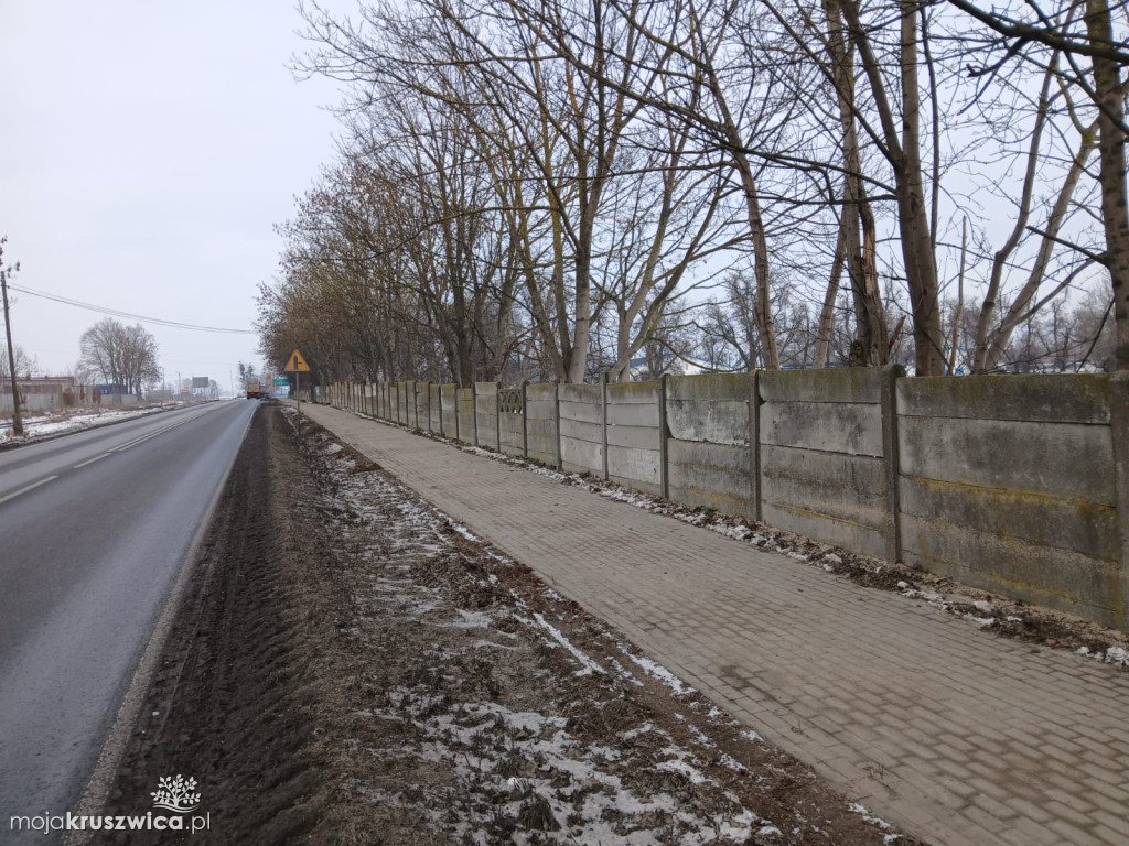 Radny złożył interpelację w sprawie ogrodzenia przy drodze krajowej w Kobylnikach