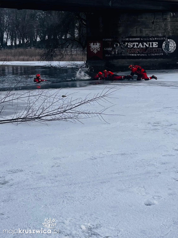 Pokazy ratownictwa lodowego dla młodzieży w Kruszwicy z udziałem uczniów ZSO
