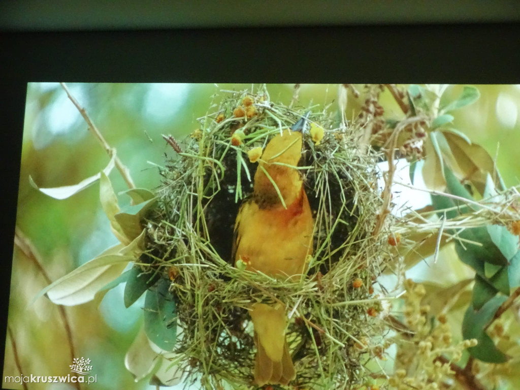 „Przywitanie z Afryką” w Kruszwicy pełne niezywkłych opowieści [ZDJĘCIA}