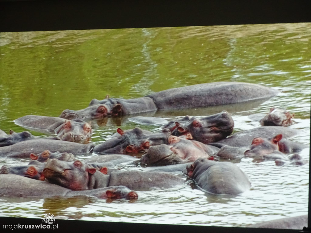 „Przywitanie z Afryką” w Kruszwicy pełne niezywkłych opowieści [ZDJĘCIA}