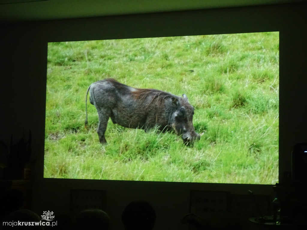 „Przywitanie z Afryką” w Kruszwicy pełne niezywkłych opowieści [ZDJĘCIA}