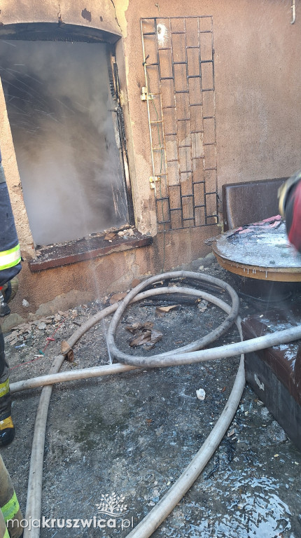 Pracowita interwencja dla strażaków. Pomagali mieszkańcy