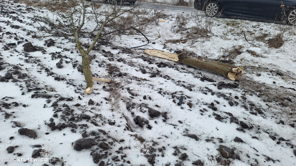 BMW dachowało pod Kruszwicą