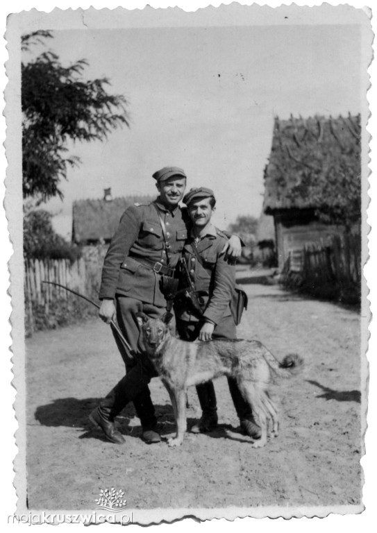 75 lat temu zginął major „Łupaszka”.