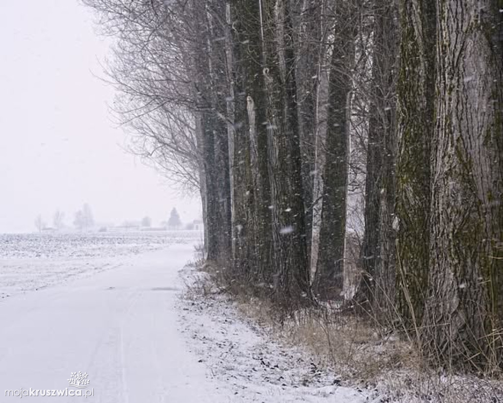 Nowa zima w Obiektywie Żanety Kowalskiej [ZDJĘCIA]