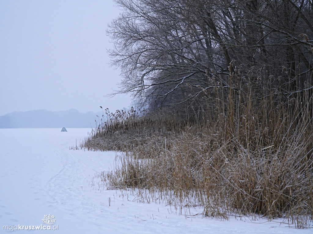 Nowa zima w Obiektywie Żanety Kowalskiej [ZDJĘCIA]