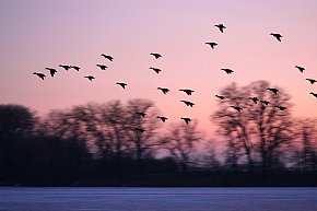 Zima na zdjęciach Żanety Kowalskiej [FOTO]-4902