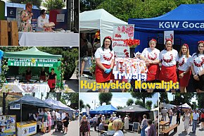 Trwają Kujawskie Nowalijki. Jakie atrakcje przewidziano? [GALERIA]-5481