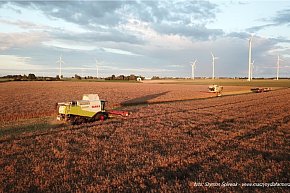 Żniwa na kruszwickich (i nie tylko) gospodarstwach rolnych-5572