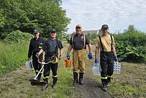 Trwają prace przy oczyszczaniu drogi leśnej między Pszeniczną a Gocanowem-33241