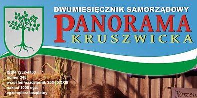 Zakaz działalności medialnej samorządów. Koniec Panoramy Kruszwickiej?-37125