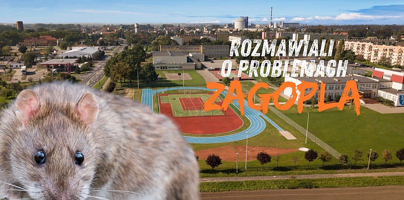 Radni odbyli spotkanie w sprawie odpadów i gryzoni na Zagoplu - 37488